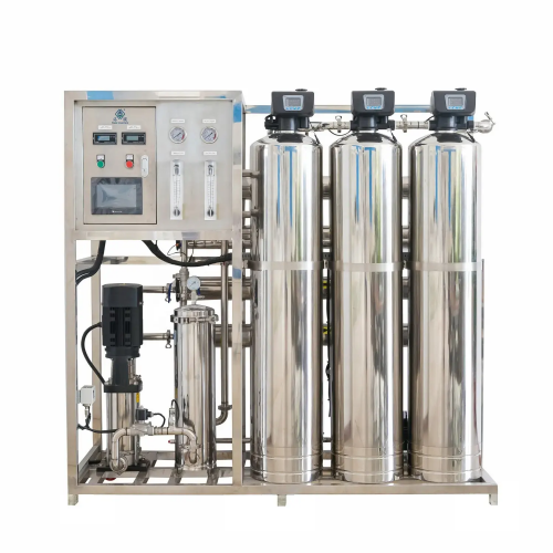 1000 LPH Ro Water System Industrial RO System Manufacturer Reverse Osmosis Equipment RO Water Treatment System